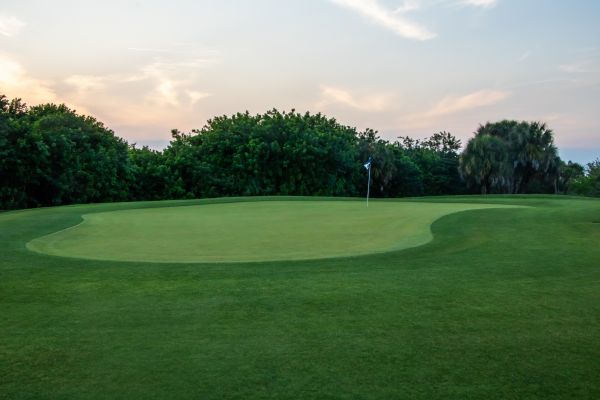 Putting Green Installation